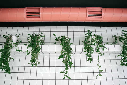 passive ventilation